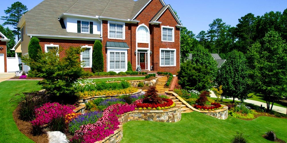 Front Yard Bermuda Lawn